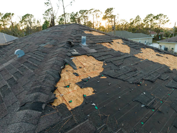 Best Roof Ventilation Installation  in Middletown, OH